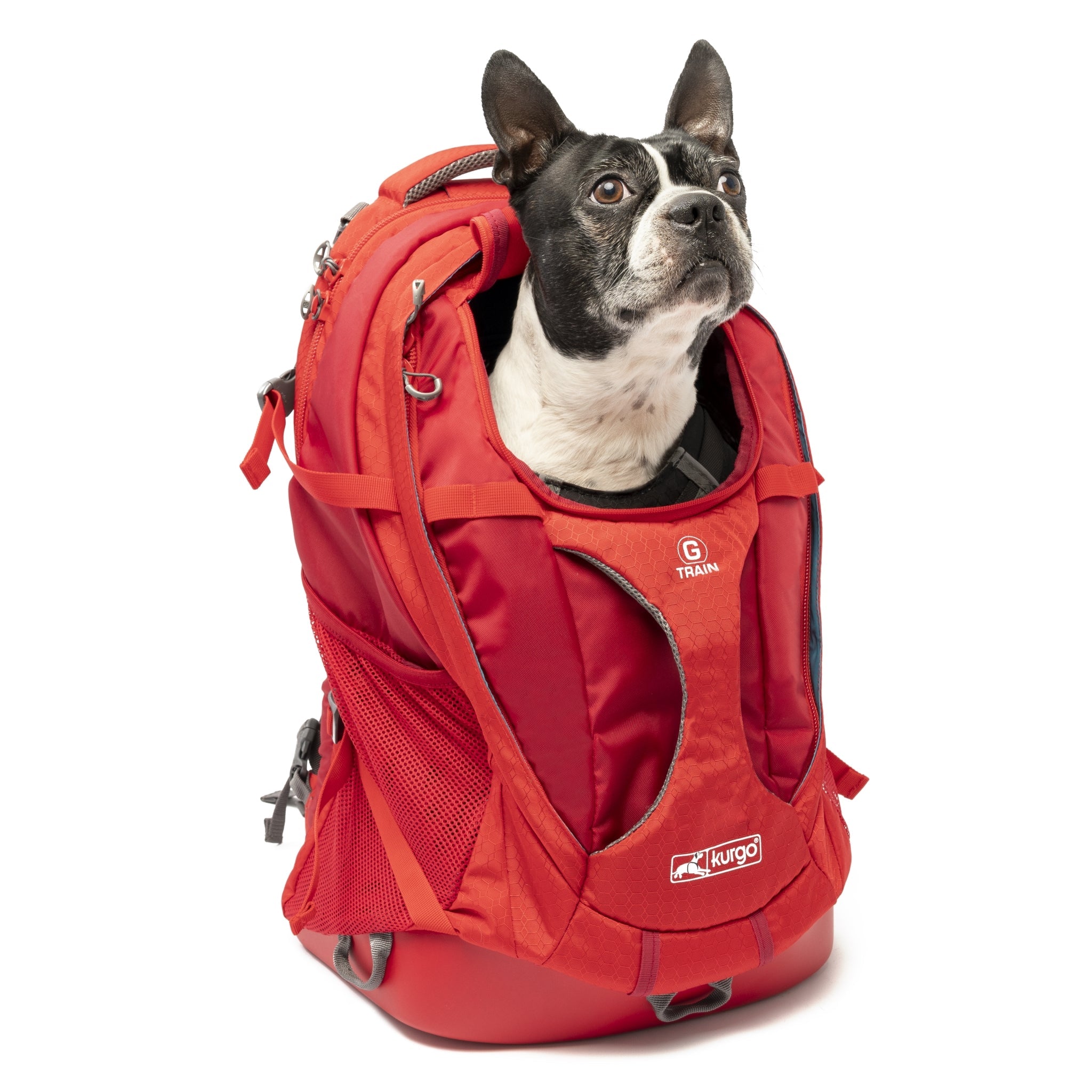 Kurgo G - Train Hunderucksack – Premium Transportrucksack mit Sicherheitsgurt - Befestigung für komfortables Reisen mit kleinen &amp; mittelgroßen Hunden - Woofshack