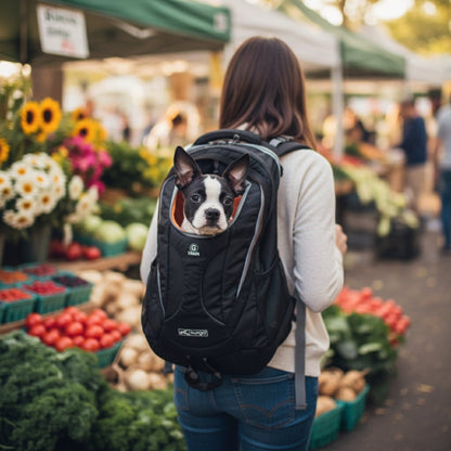 Kurgo G - Train Hunderucksack – Premium Transportrucksack mit Sicherheitsgurt - Befestigung für komfortables Reisen mit kleinen &amp; mittelgroßen Hunden - Woofshack