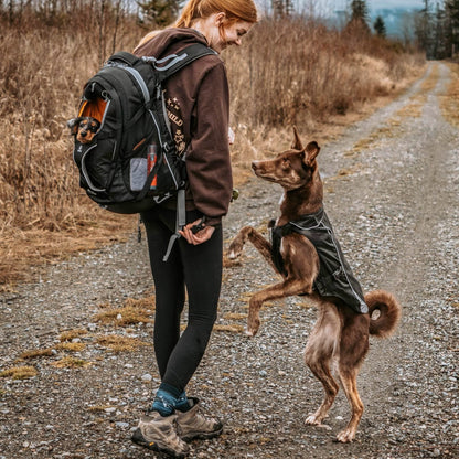 Kurgo G - Train Hunderucksack – Premium Transportrucksack mit Sicherheitsgurt - Befestigung für komfortables Reisen mit kleinen &amp; mittelgroßen Hunden - Woofshack
