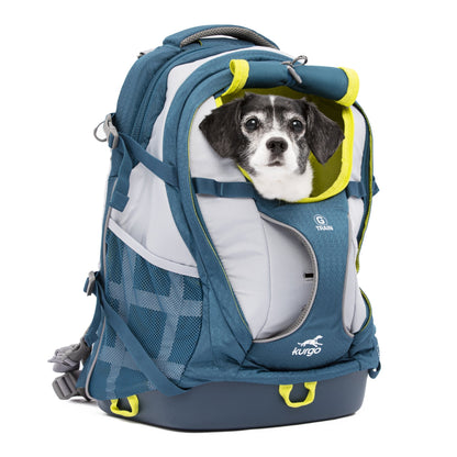Kurgo G - Train Hunderucksack – Premium Transportrucksack mit Sicherheitsgurt - Befestigung für komfortables Reisen mit kleinen &amp; mittelgroßen Hunden - Woofshack