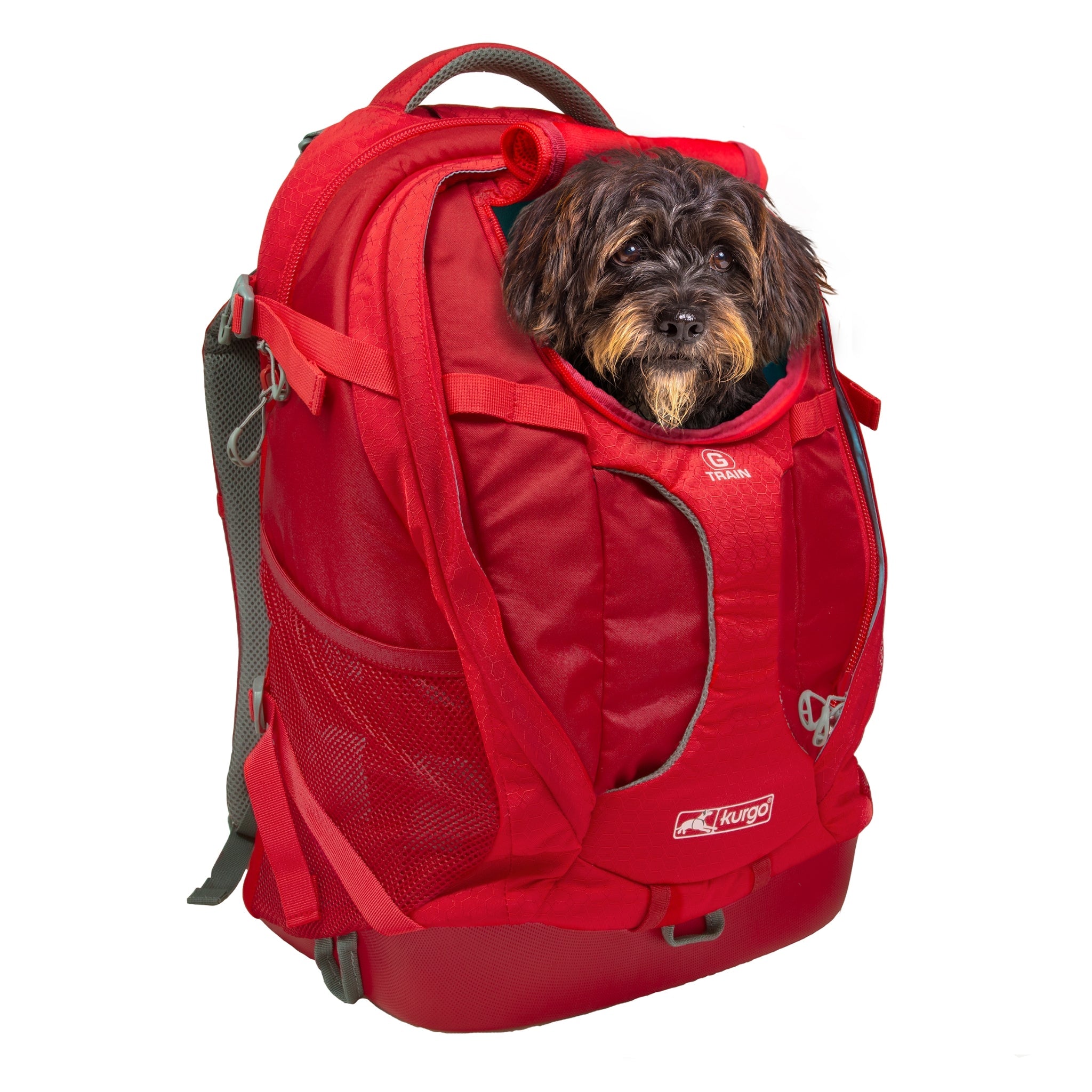 Kurgo G - Train Hunderucksack – Premium Transportrucksack mit Sicherheitsgurt - Befestigung für komfortables Reisen mit kleinen &amp; mittelgroßen Hunden - Woofshack