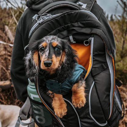 Kurgo G - Train Hunderucksack – Premium Transportrucksack mit Sicherheitsgurt - Befestigung für komfortables Reisen mit kleinen &amp; mittelgroßen Hunden - Woofshack