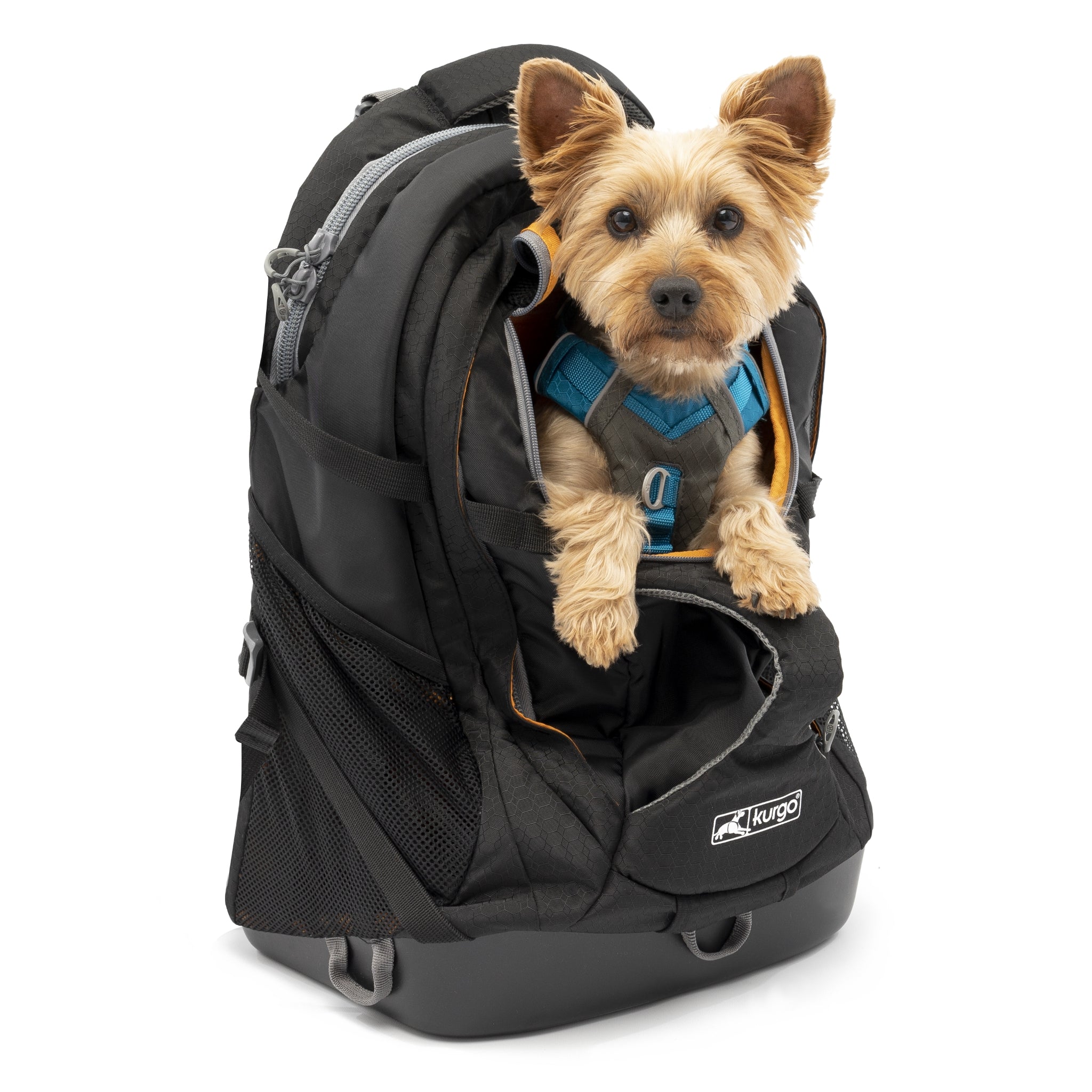 Kurgo G - Train Hunderucksack – Premium Transportrucksack mit Sicherheitsgurt - Befestigung für komfortables Reisen mit kleinen &amp; mittelgroßen Hunden - Woofshack