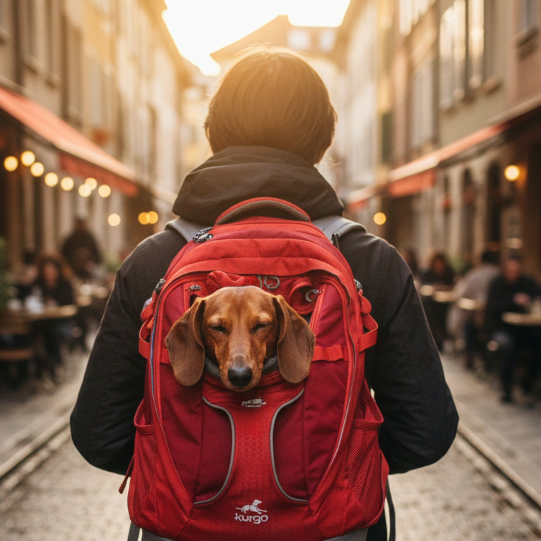 Kurgo G - Train Hunderucksack – Premium Transportrucksack mit Sicherheitsgurt - Befestigung für komfortables Reisen mit kleinen &amp; mittelgroßen Hunden - Woofshack