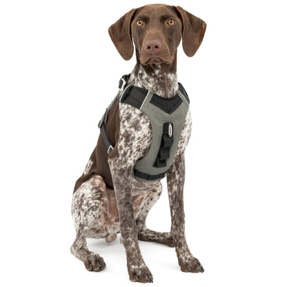 Kurgo Journey Air Dog Harness