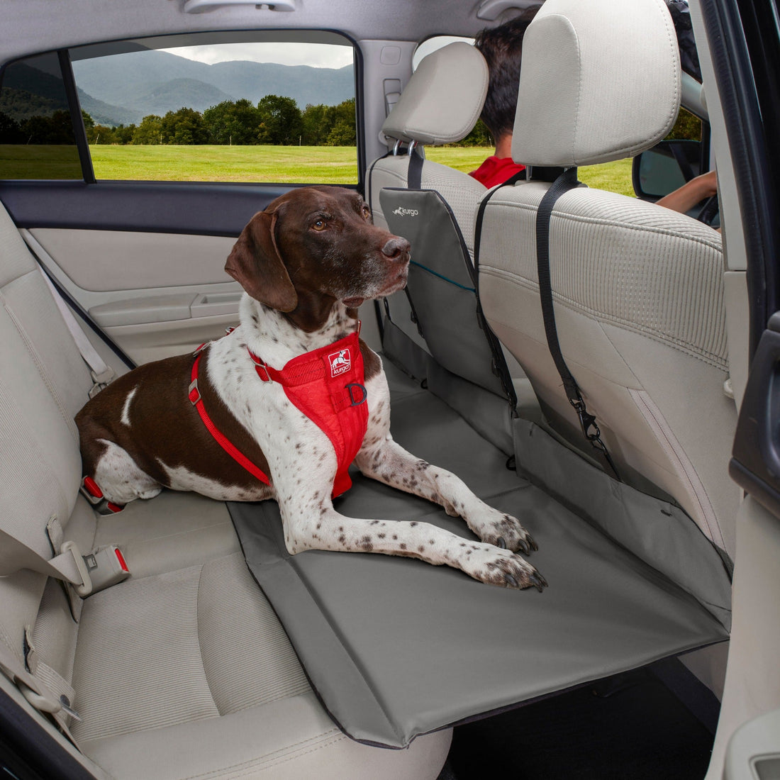 Kurgo Rover Backseat Bridge, Rücksitzbrücke - Woofshack