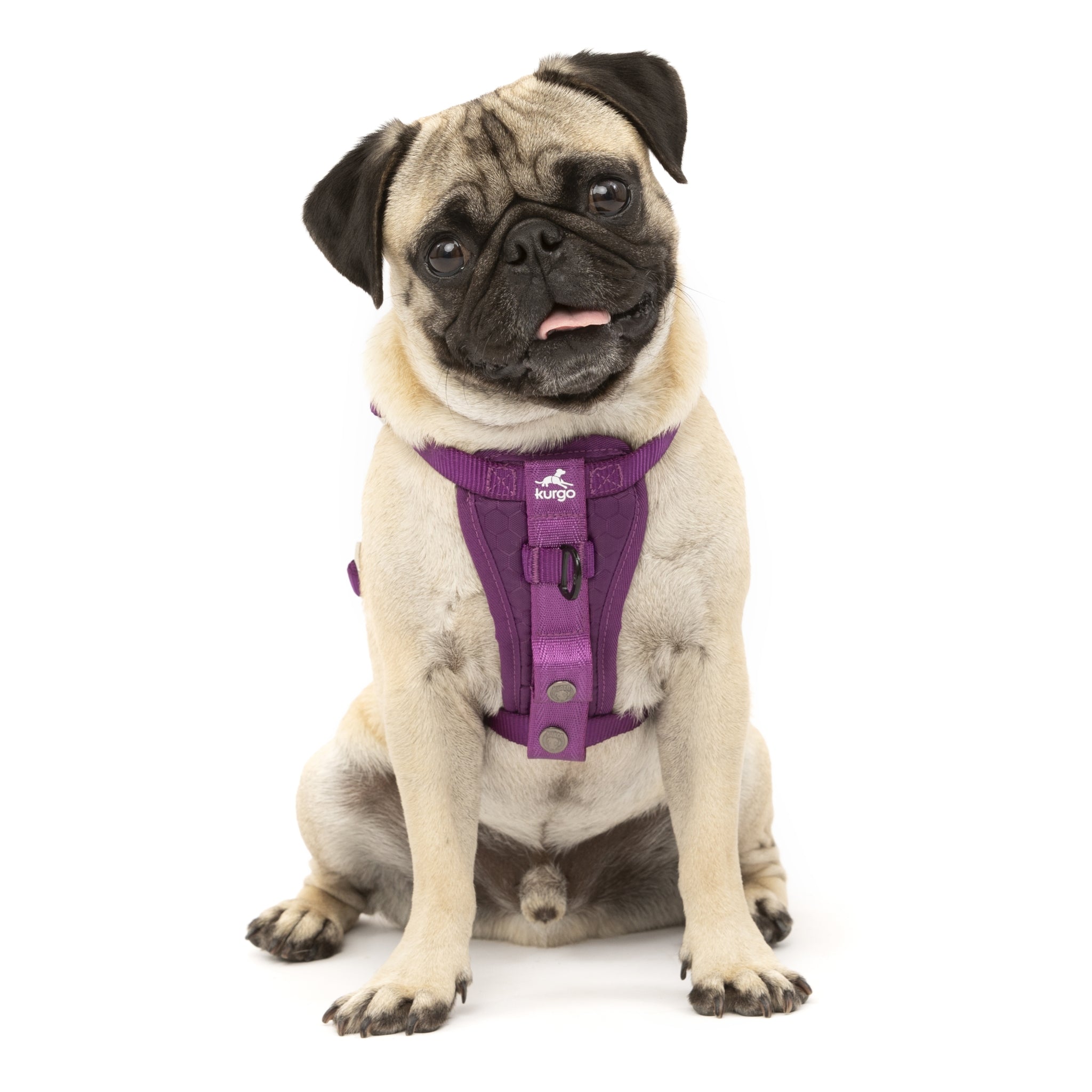 Kurgo Tru - Fit Hundegeschirr – Sicheres Auto - Sicherheitsgeschirr mit Crashtest - Zertifizierung - Woofshack