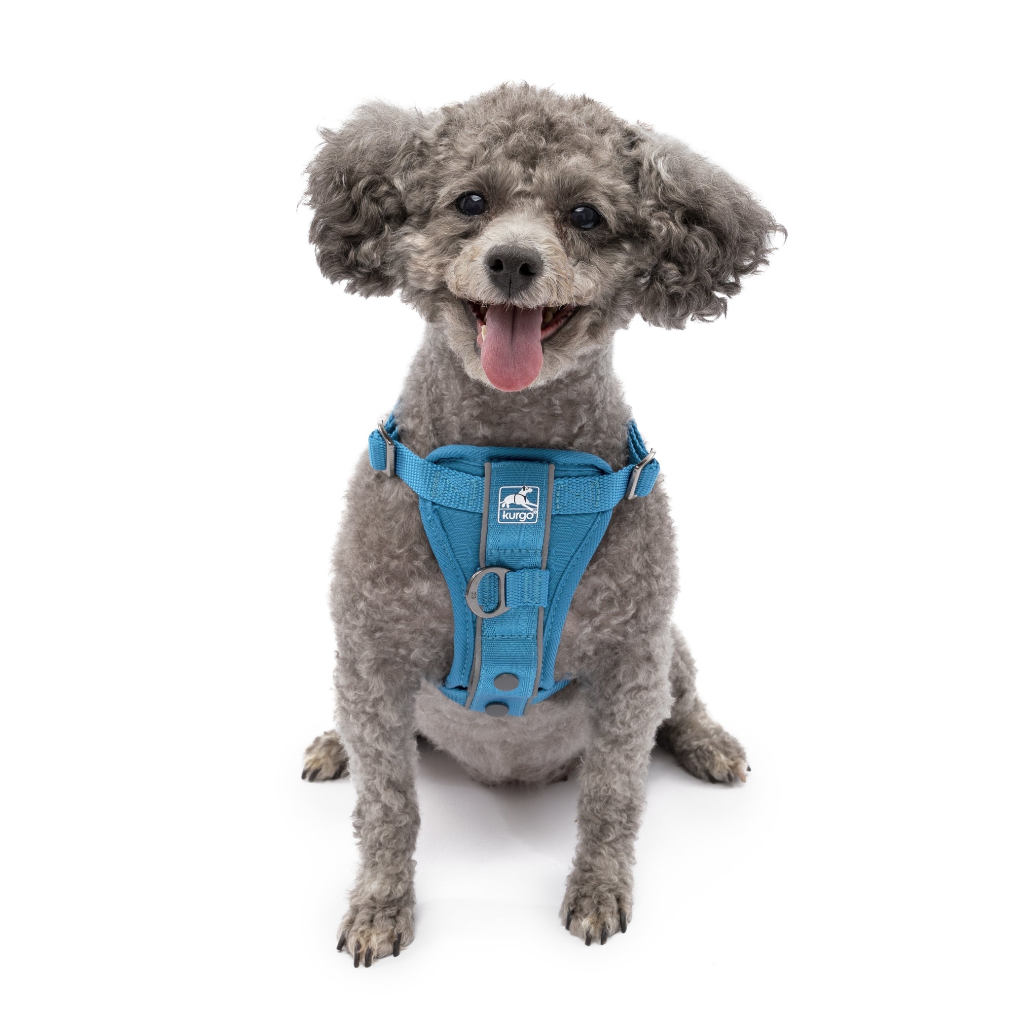 Kurgo Tru - Fit Hundegeschirr – Sicheres Auto - Sicherheitsgeschirr mit Crashtest - Zertifizierung - Woofshack