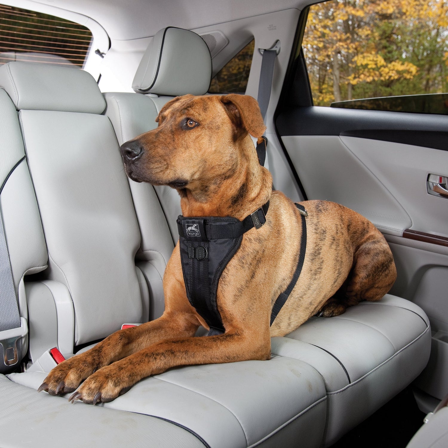 Kurgo Tru - Fit Hundegeschirr – Sicheres Auto - Sicherheitsgeschirr mit Crashtest - Zertifizierung - Woofshack