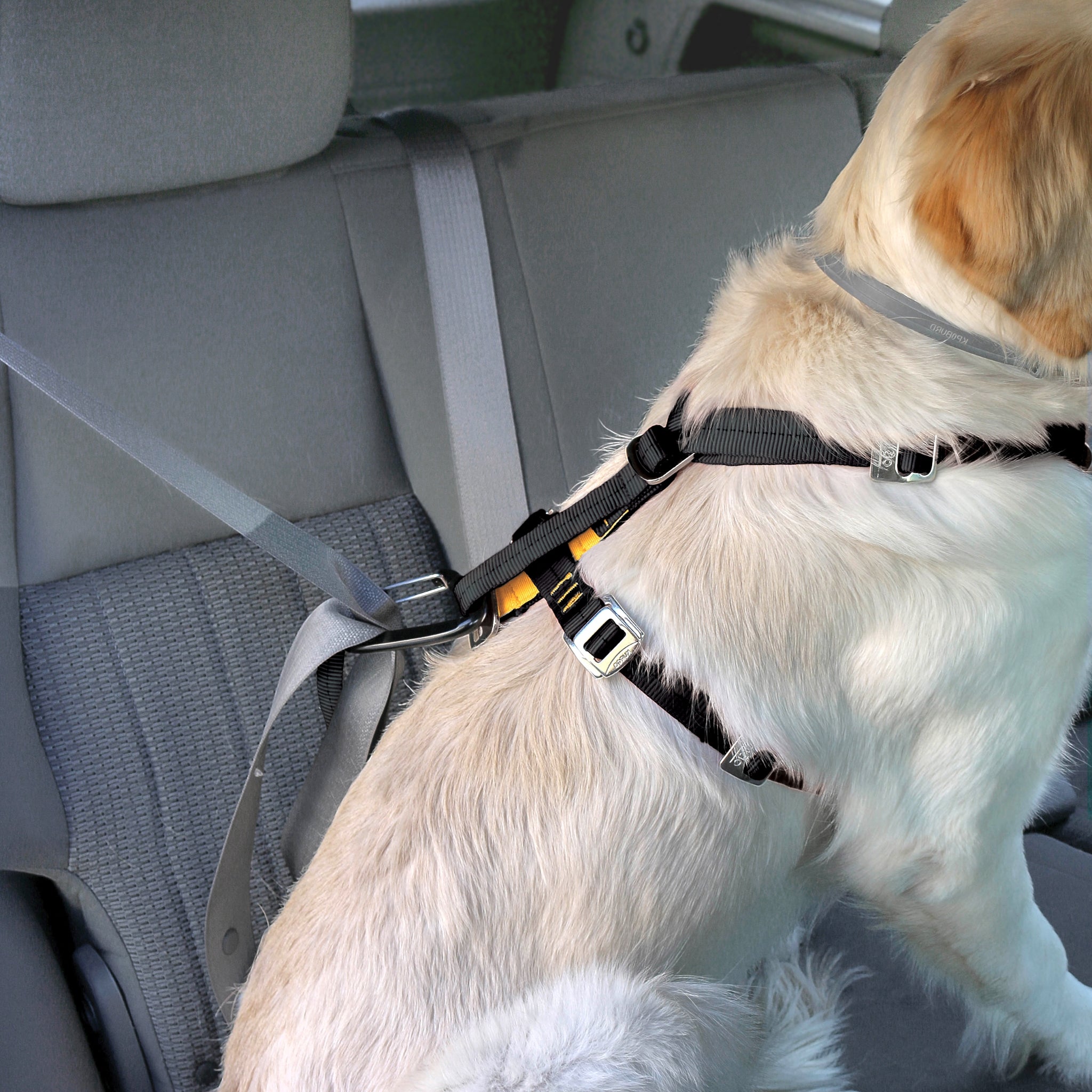 Kurgo Tru - Fit Hundegeschirr – Sicheres Auto - Sicherheitsgeschirr mit Crashtest - Zertifizierung - Woofshack