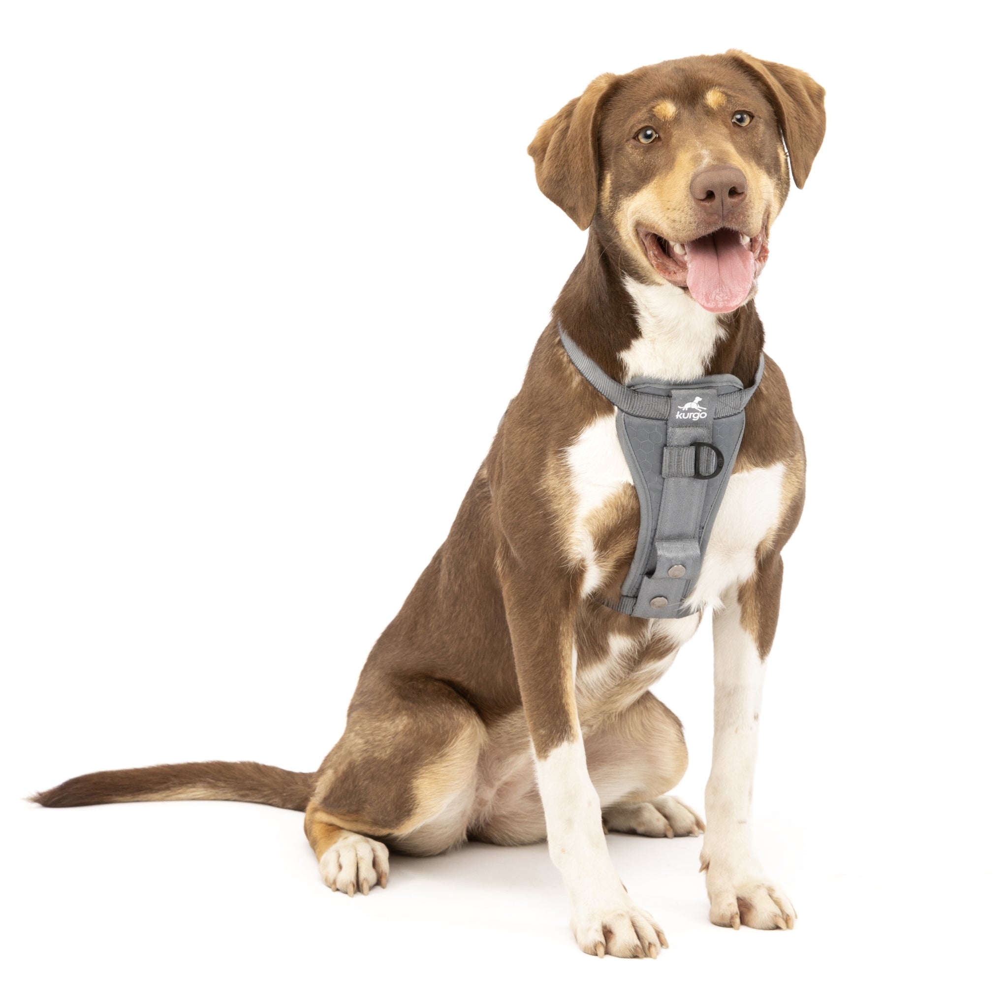 Kurgo Tru - Fit Hundegeschirr – Sicheres Auto - Sicherheitsgeschirr mit Crashtest - Zertifizierung - Woofshack