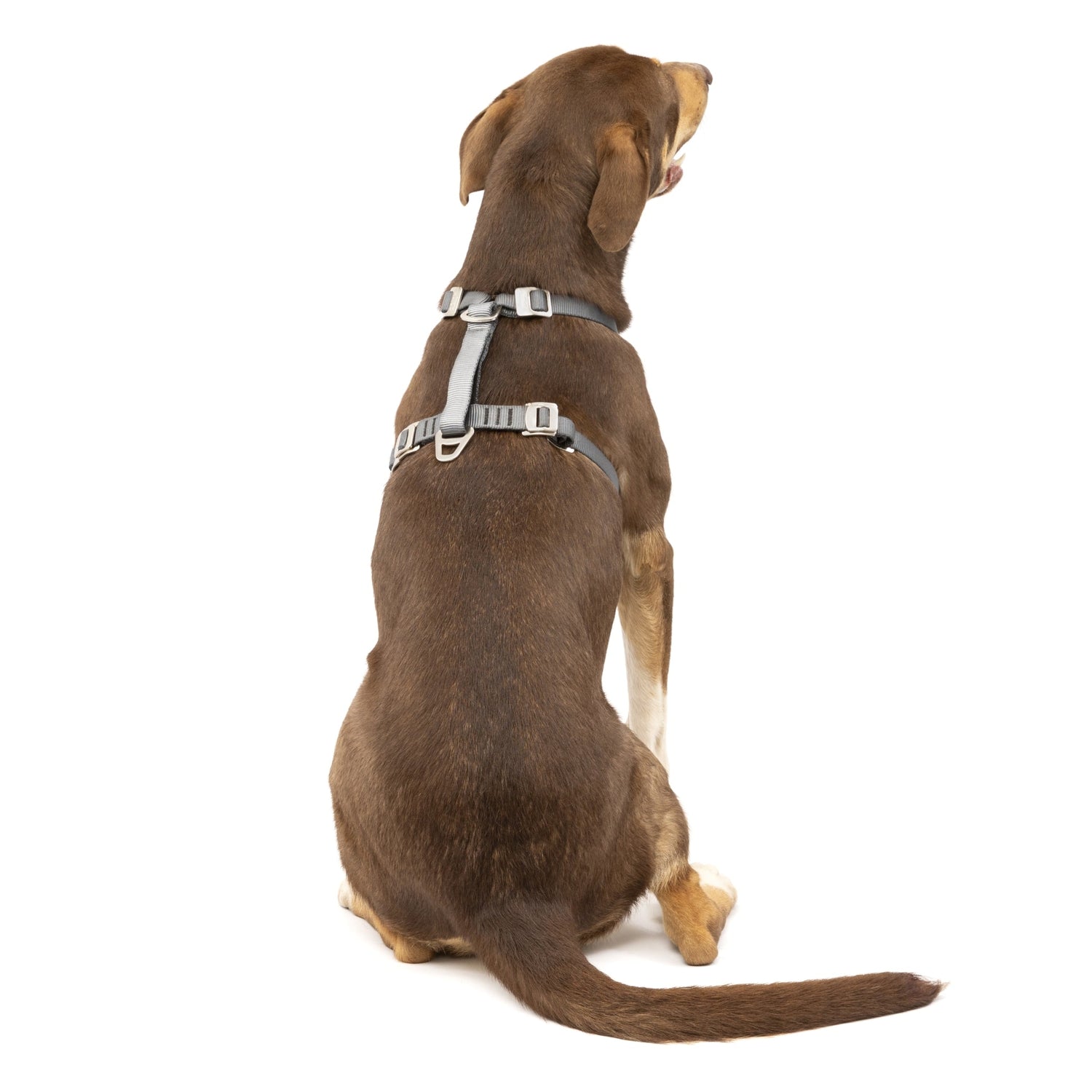 Kurgo Tru - Fit Hundegeschirr – Sicheres Auto - Sicherheitsgeschirr mit Crashtest - Zertifizierung - Woofshack