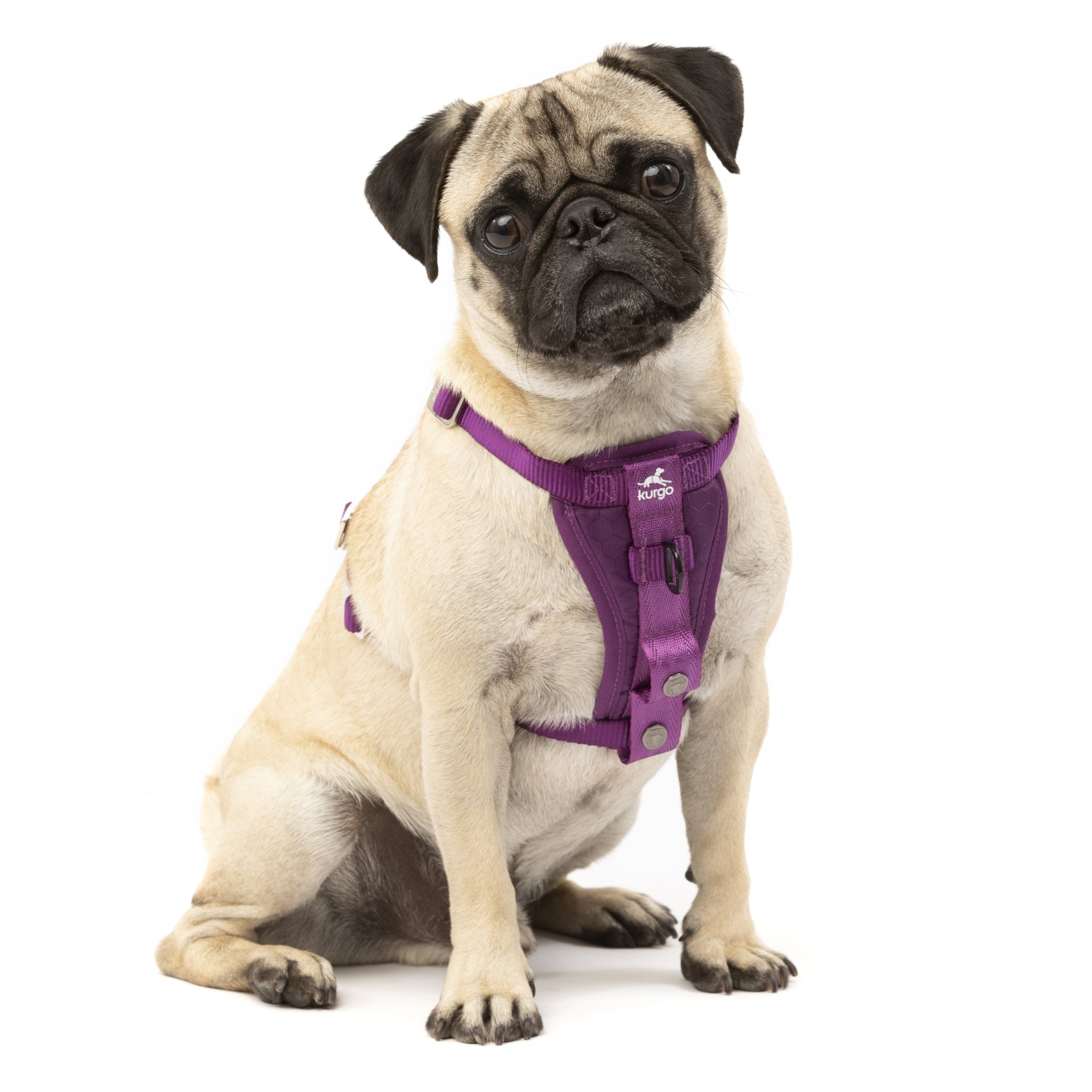 Kurgo Tru - Fit Hundegeschirr – Sicheres Auto - Sicherheitsgeschirr mit Crashtest - Zertifizierung - Woofshack