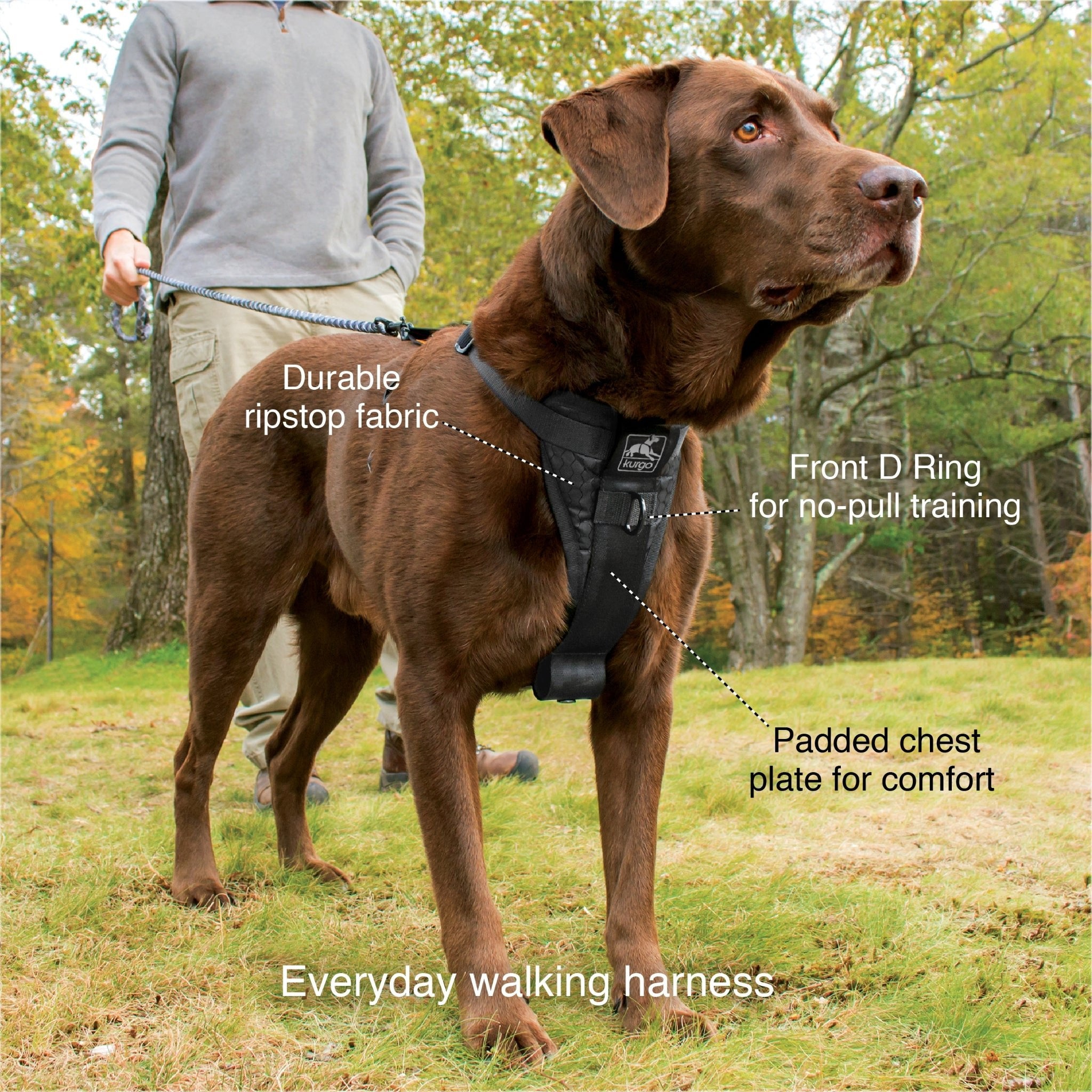 Kurgo Tru - Fit Hundegeschirr – Sicheres Auto - Sicherheitsgeschirr mit Crashtest - Zertifizierung - Woofshack
