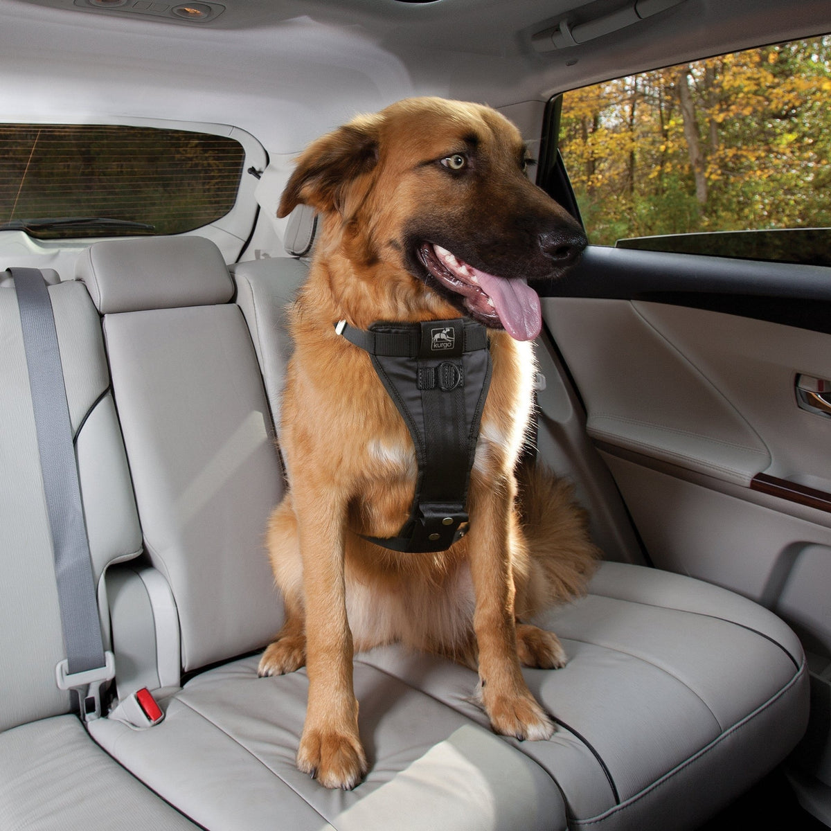 Kurgo Tru - Fit Hundegeschirr – Sicheres Auto - Sicherheitsgeschirr mit Crashtest - Zertifizierung - Woofshack
