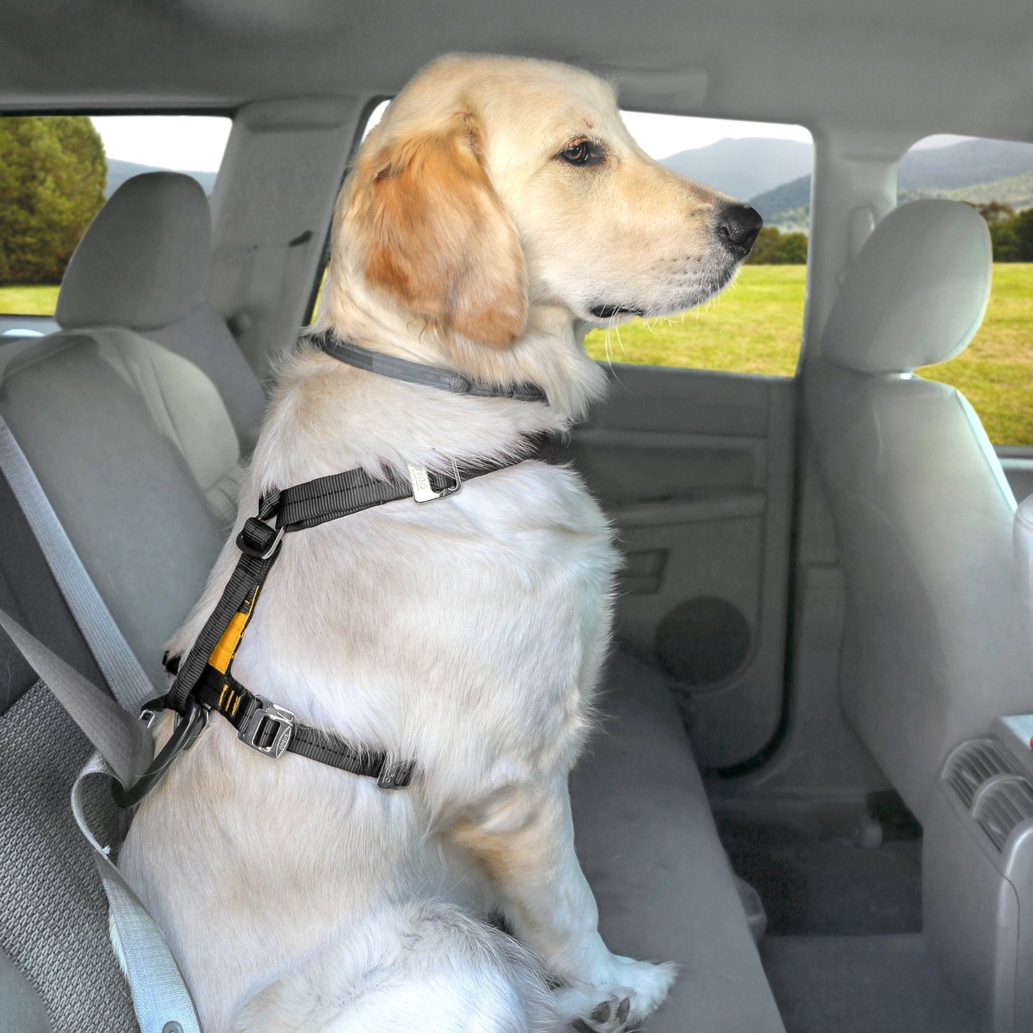 Kurgo Tru - Fit Hundegeschirr – Sicheres Auto - Sicherheitsgeschirr mit Crashtest - Zertifizierung - Woofshack