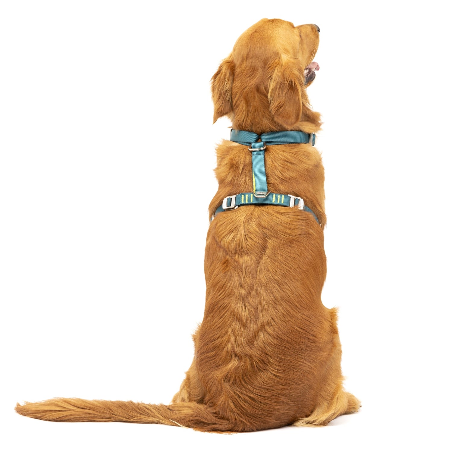 Kurgo Tru - Fit Hundegeschirr – Sicheres Auto - Sicherheitsgeschirr mit Crashtest - Zertifizierung - Woofshack