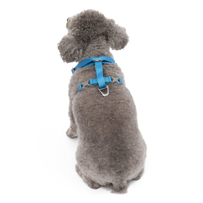 Kurgo Tru - Fit Hundegeschirr – Sicheres Auto - Sicherheitsgeschirr mit Crashtest - Zertifizierung - Woofshack