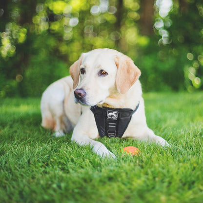 Kurgo Tru - Fit Hundegeschirr – Sicheres Auto - Sicherheitsgeschirr mit Crashtest - Zertifizierung - Woofshack