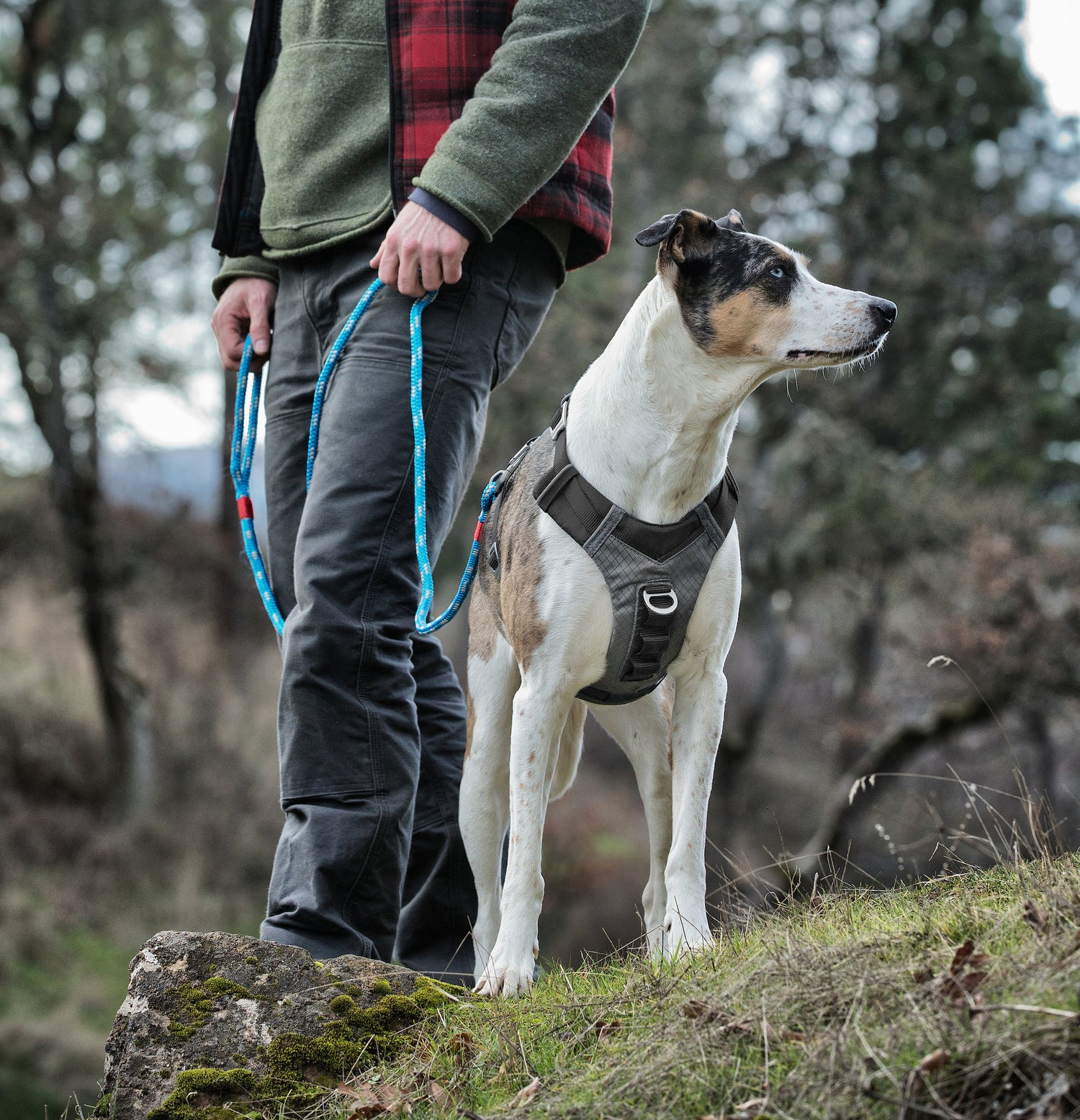 Kurgo Hundegeschirre - Kurgo Dog Harnesses