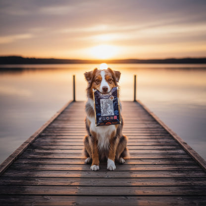 Lakse Kronch Pocket – Getreidefreie Lachsleckerlis für Training &amp; Belohnung - Woofshack