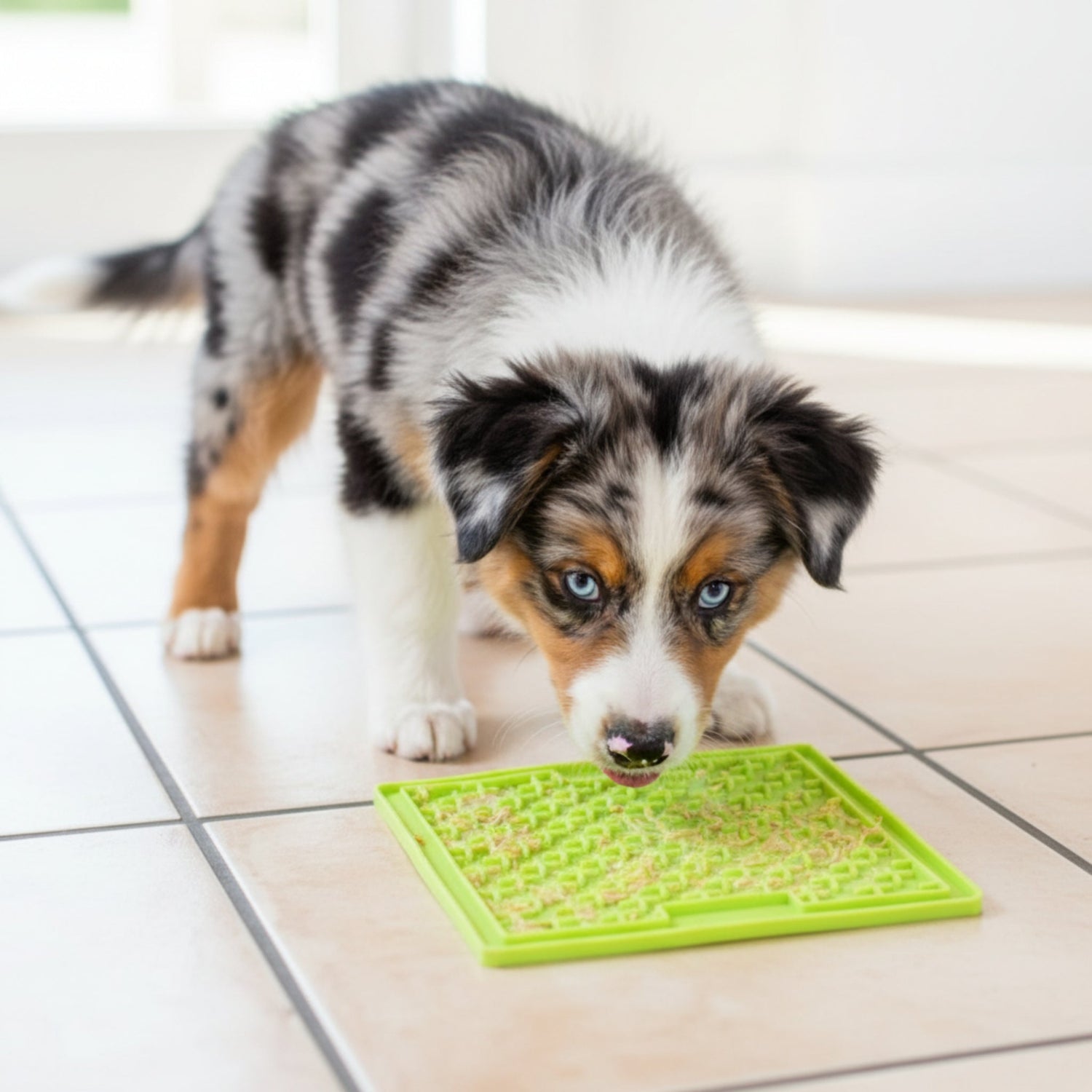 LickiMat Classic Buddy Schleckmatte für Hunde - Anti - Stress &amp; Beschäftigung - Woofshack
