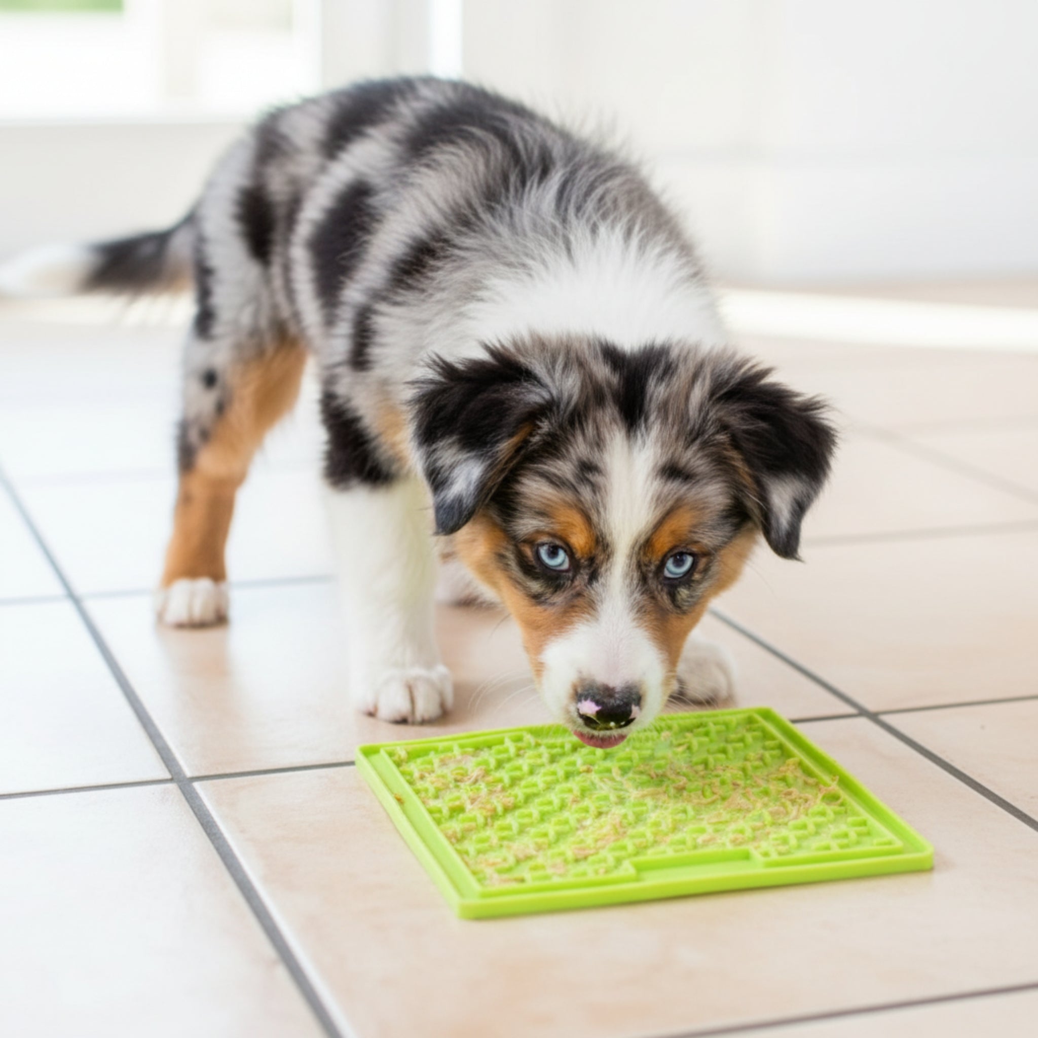 LickiMat Classic Buddy Schleckmatte für Hunde - Anti - Stress &amp; Beschäftigung - Woofshack