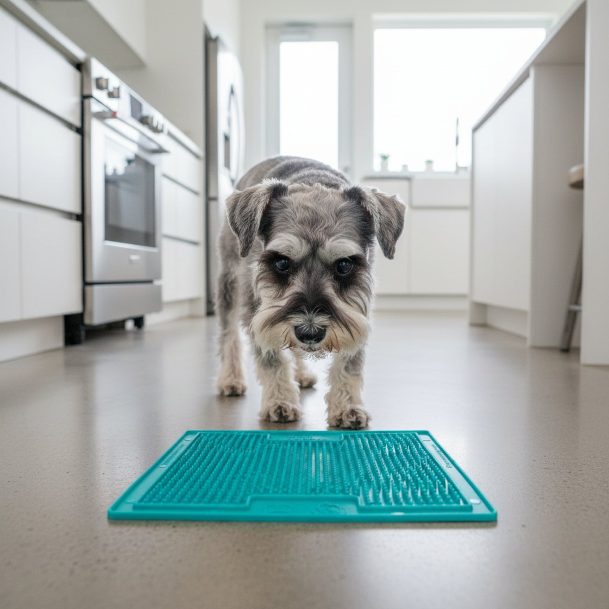 LickiMat Classic Soother – Beruhigende Schleckmatte für entspannte Hunde bei Stress &amp; Langeweile - Woofshack
