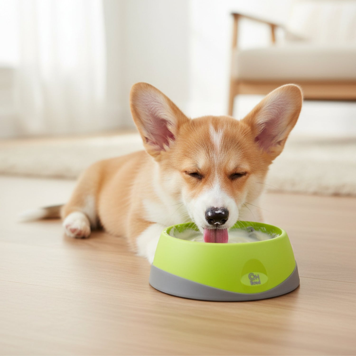 LickiMat OH Bowl – Anti - Schling Hundenapf für langsames Fressen - Woofshack