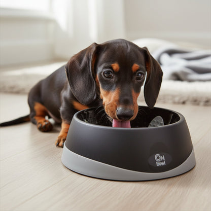 LickiMat OH Bowl – Anti - Schling Hundenapf für langsames Fressen - Woofshack