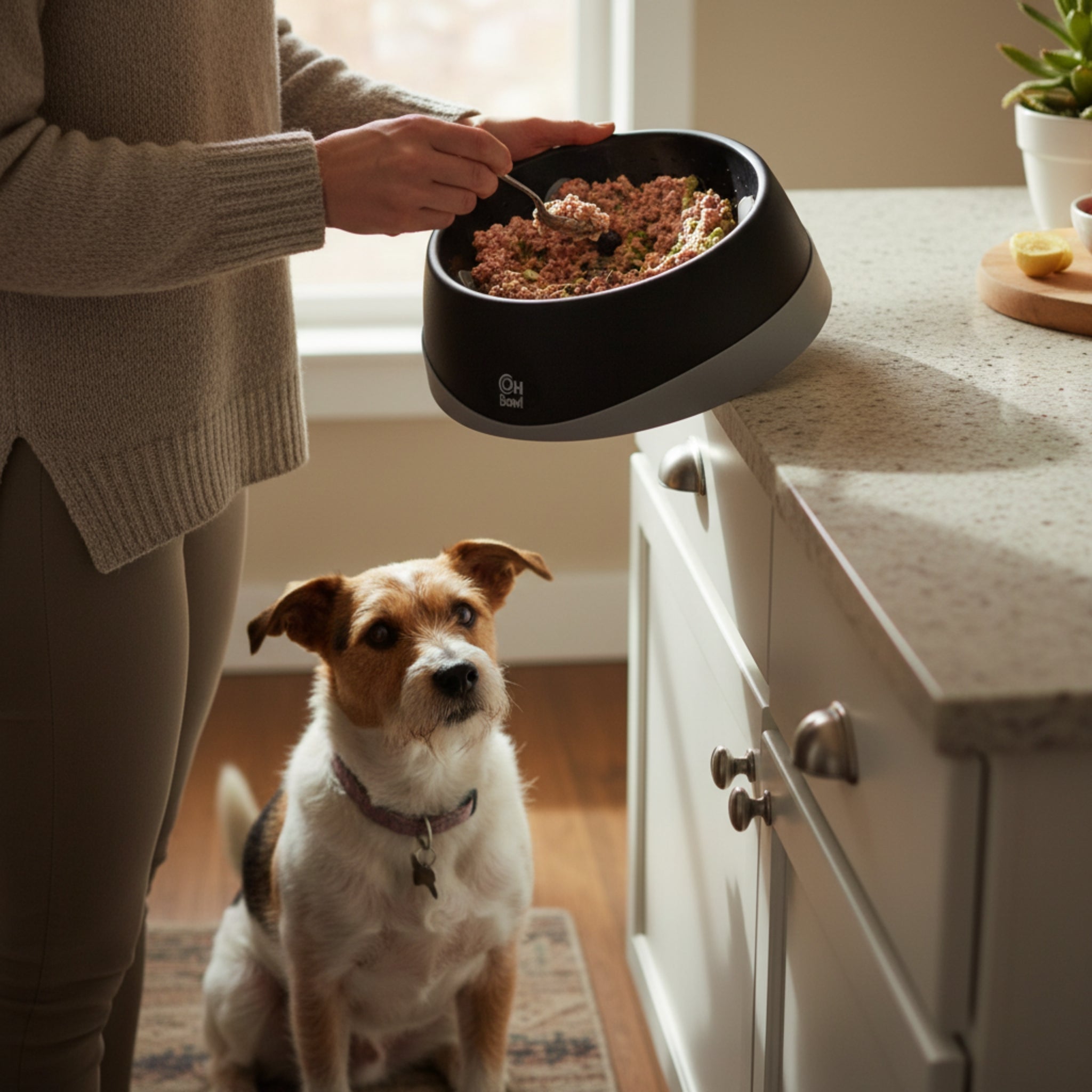 LickiMat OH Bowl – Anti - Schling Hundenapf für langsames Fressen - Woofshack