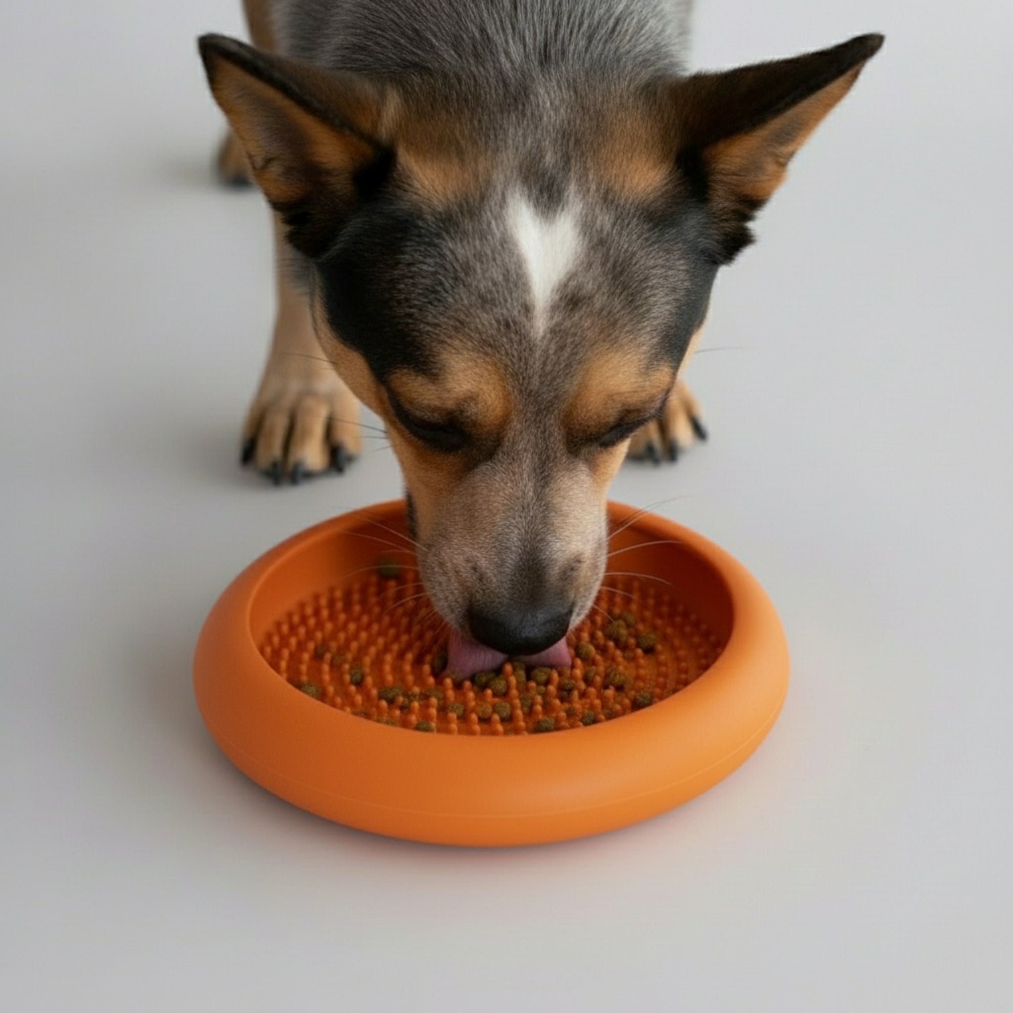 LickiMat Ufo Schleckschale – Anti - Stress Beschäftigung für Hunde - Woofshack