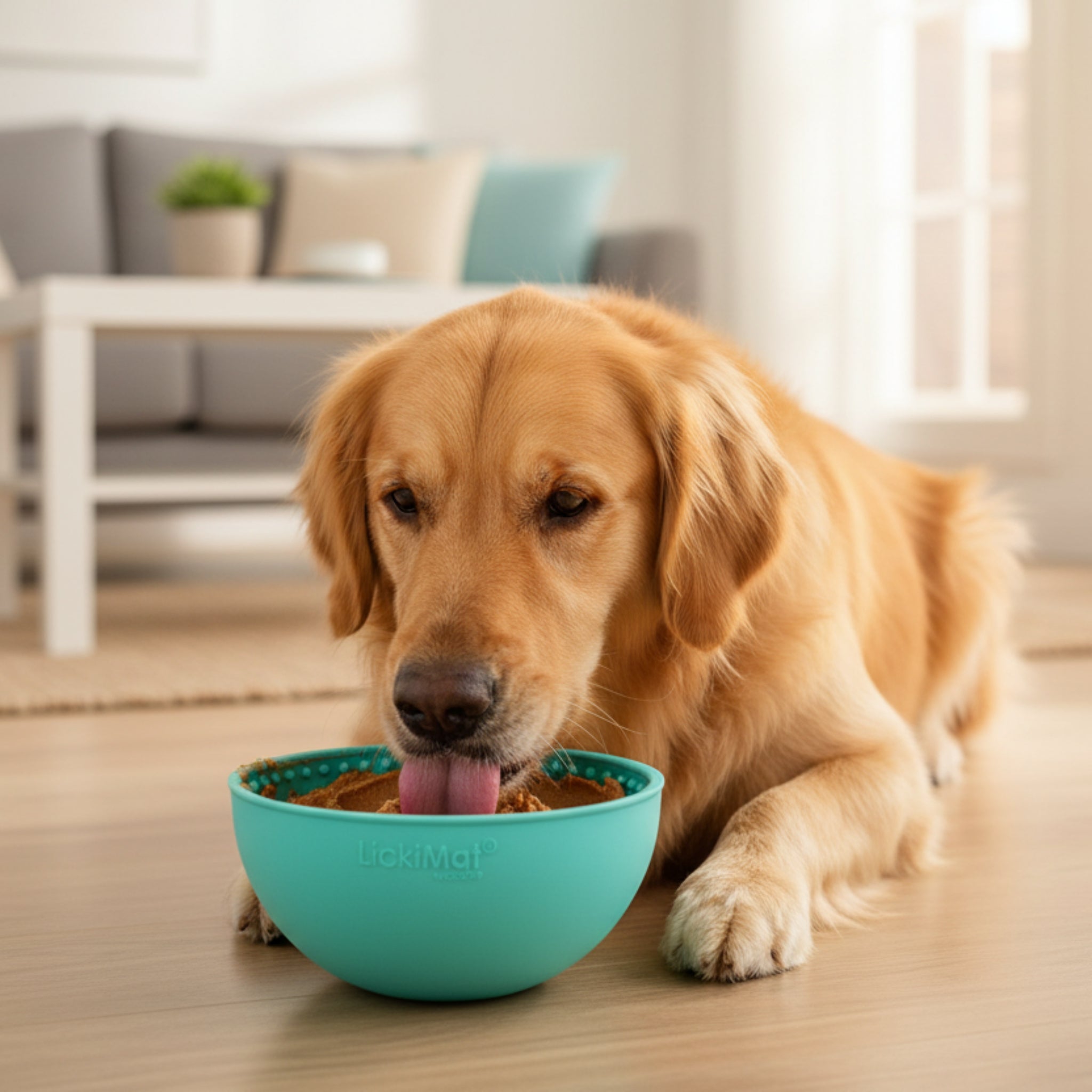 LickiMat Wobble Anti - Schling Schlecknapf – Langsame Fütterung &amp; Stressabbau für Hunde - Woofshack