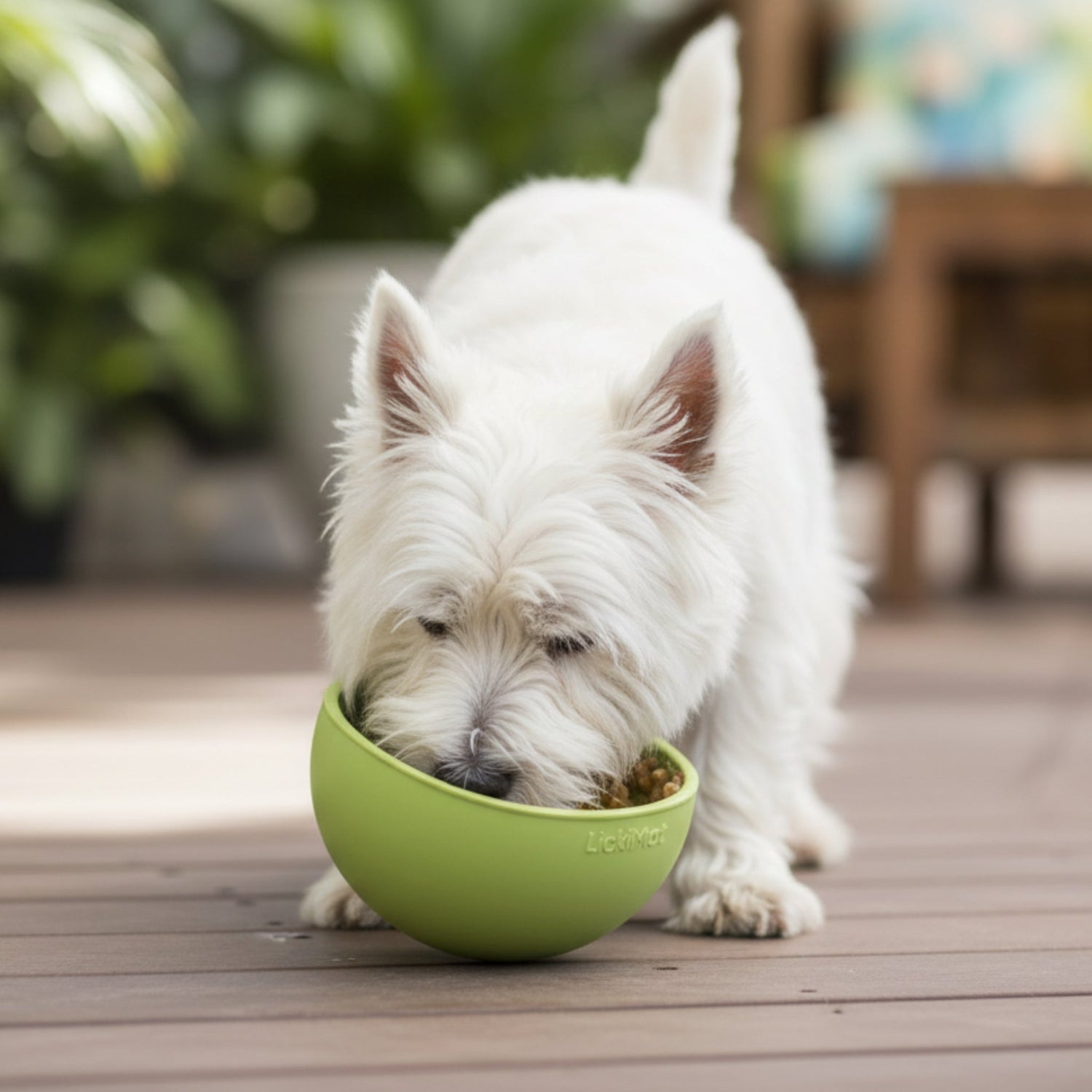 LickiMat Wobble Anti - Schling Schlecknapf – Langsame Fütterung &amp; Stressabbau für Hunde - Woofshack