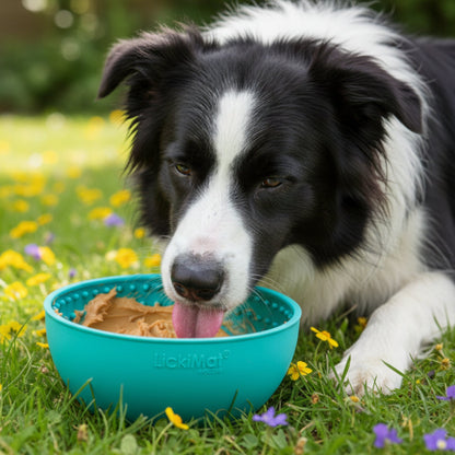 LickiMat Wobble Anti - Schling Schlecknapf – Langsame Fütterung &amp; Stressabbau für Hunde - Woofshack