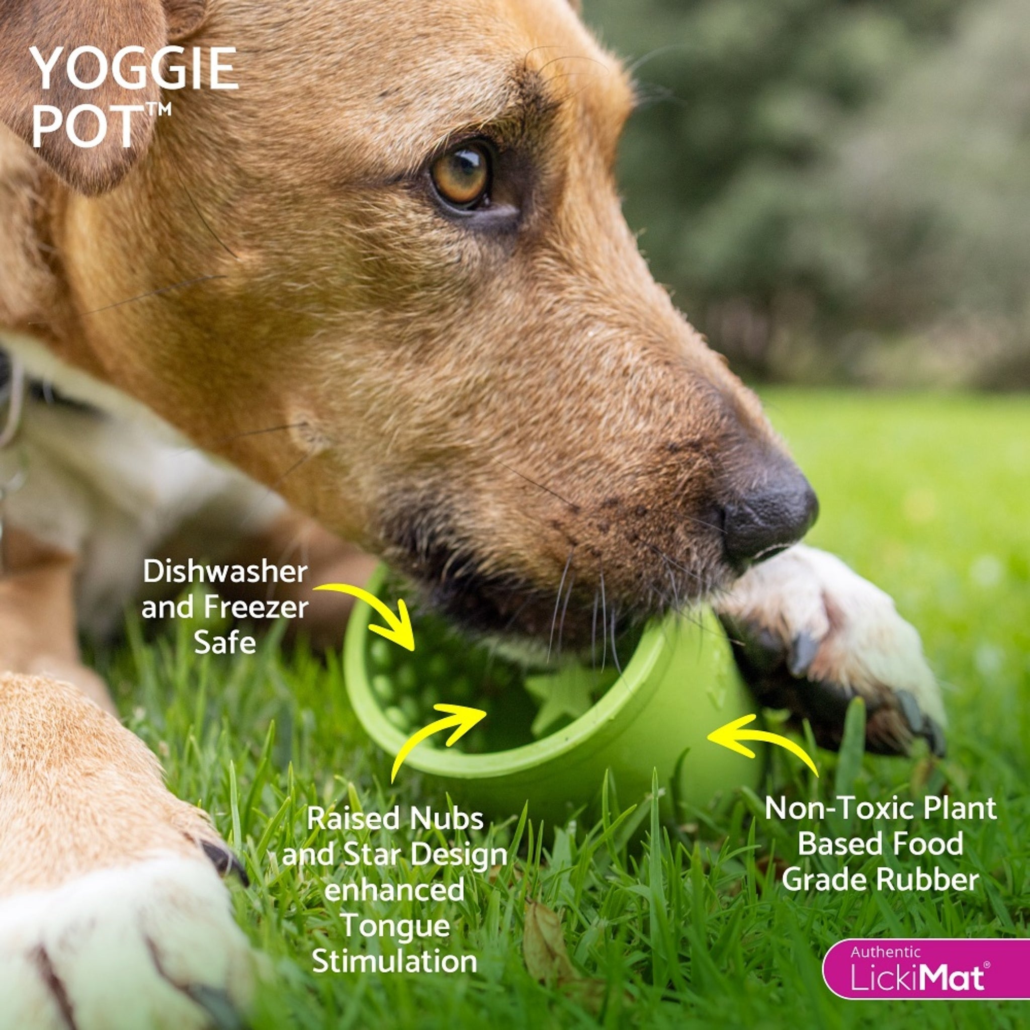 LickiMat Yoggie Pot – Anti - Schling Hundenapf für langsames Fressen &amp; entspanntes Lecken - Woofshack