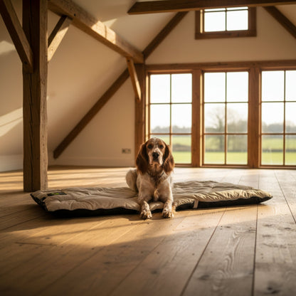 Maelson Cosy Roll Reisedecke - Kuschelige Hundedecke für unterwegs - Woofshack