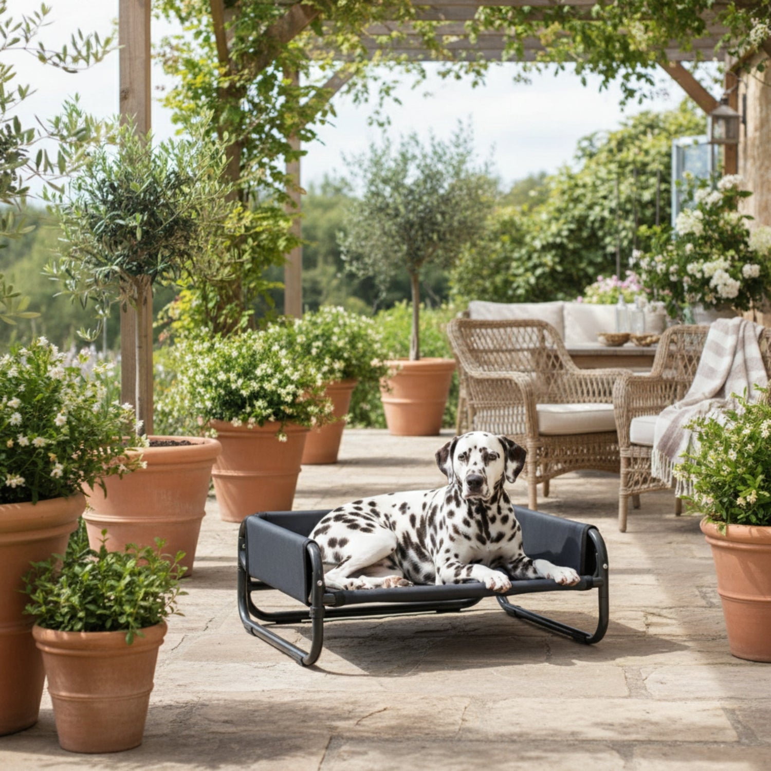 Maelson Soft Bed – Faltbares Haustierbett erhöht &amp; waschbar - Woofshack