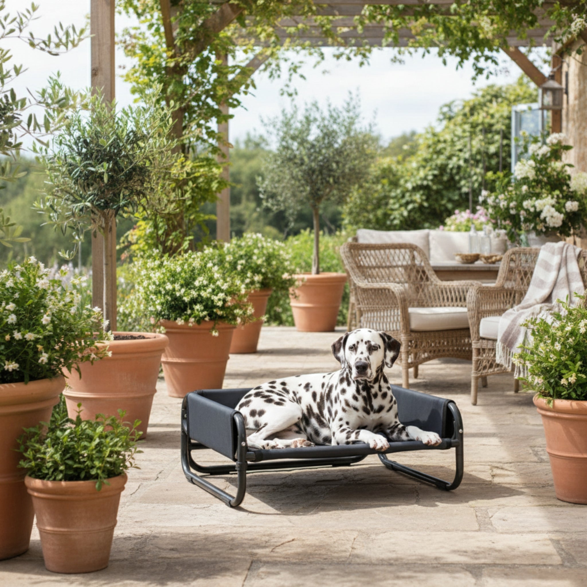 Maelson Soft Bed – Faltbares Haustierbett erhöht &amp; waschbar - Woofshack