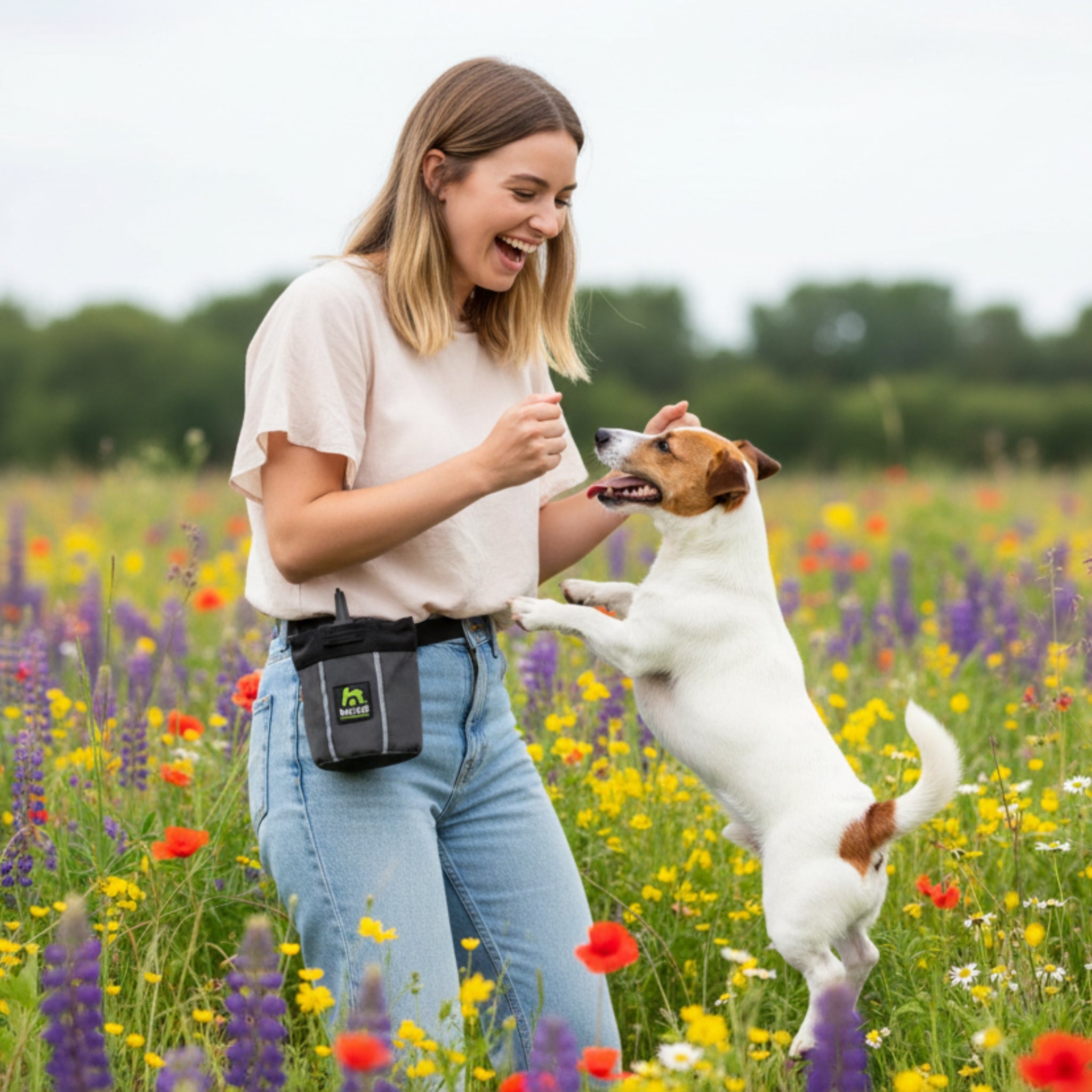 Maelson Treatee Mag Pouch – Magnetische Belohnungstasche für Hundetraining mit praktischem Clip - Woofshack