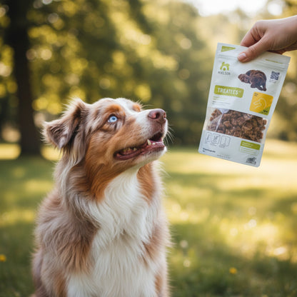 Maelson Treatees Ente – Premium Hundesnack getreidefrei, natürlich &amp; bekömmlich für sensible Hunde - Woofshack