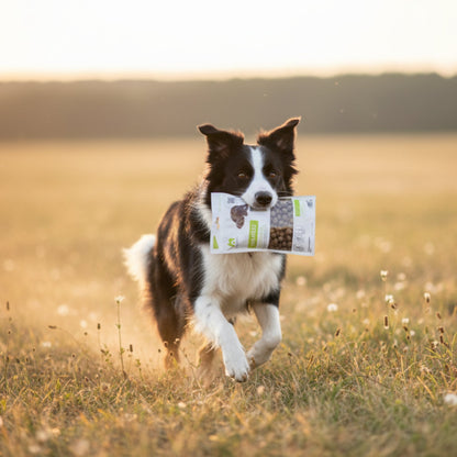 Maelson Treatees Soft Hundesnacks mit Ziege – Getreidefreie Premium - Belohnung für sensible Hunde - Woofshack