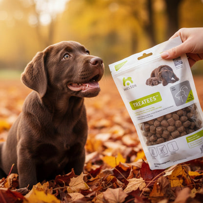 Maelson Treatees Soft Hundesnacks mit Ziege – Getreidefreie Premium - Belohnung für sensible Hunde - Woofshack