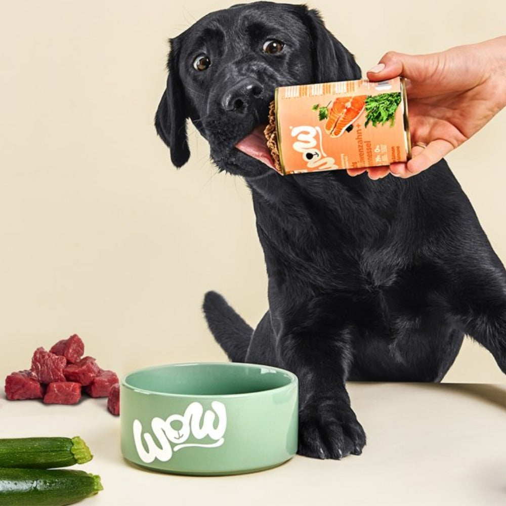 Nassfutter für Hunde, Wet dog food
