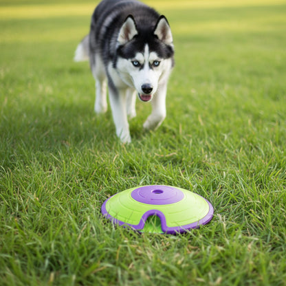 Nina Ottosson Treat Maze – Interaktives Intelligenzspielzeug gegen Langeweile &amp; Unterforderung – Level 2 Denkspiel für Hunde - Woofshack