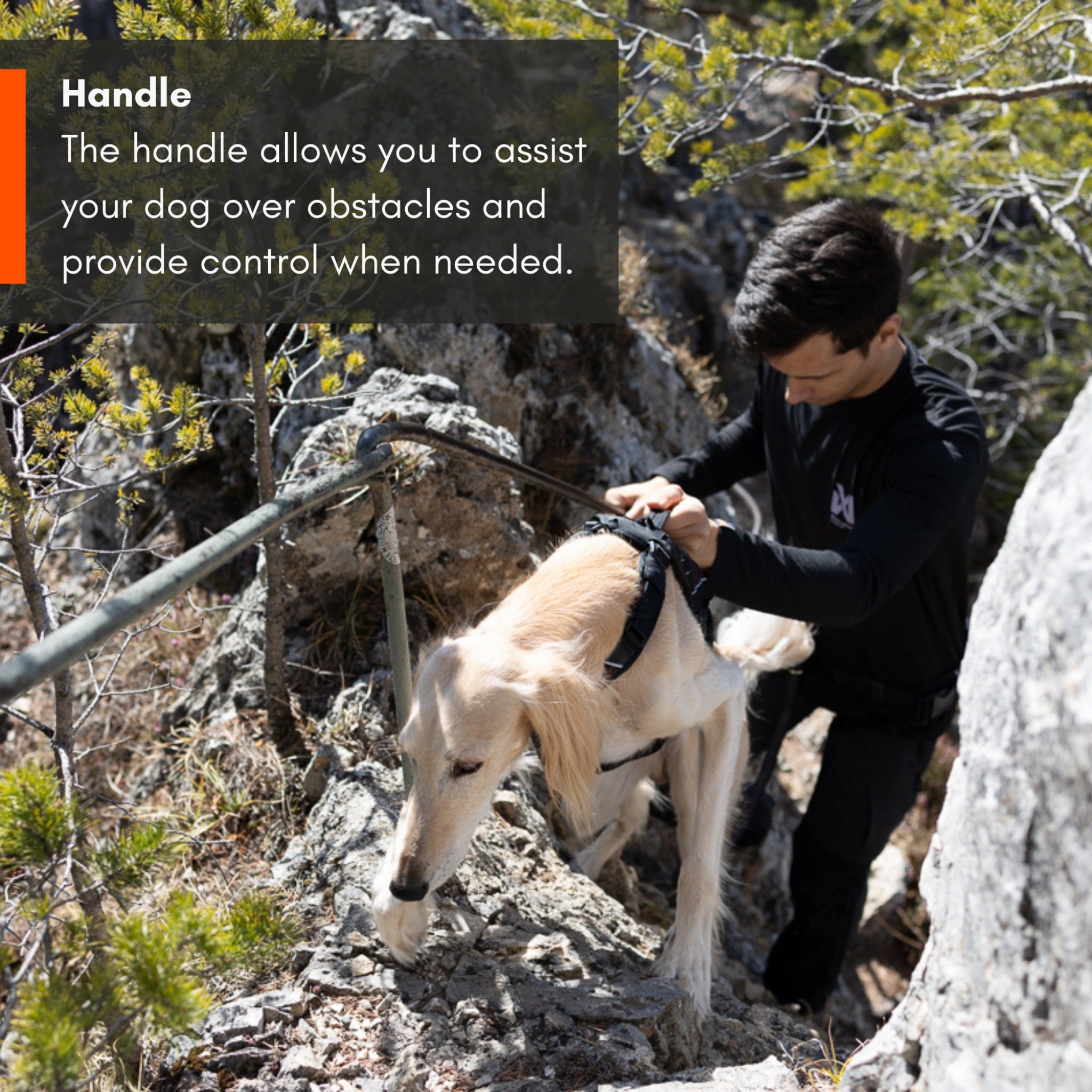 Non-stop dogwear Rock Harness Long, harnais pour chien