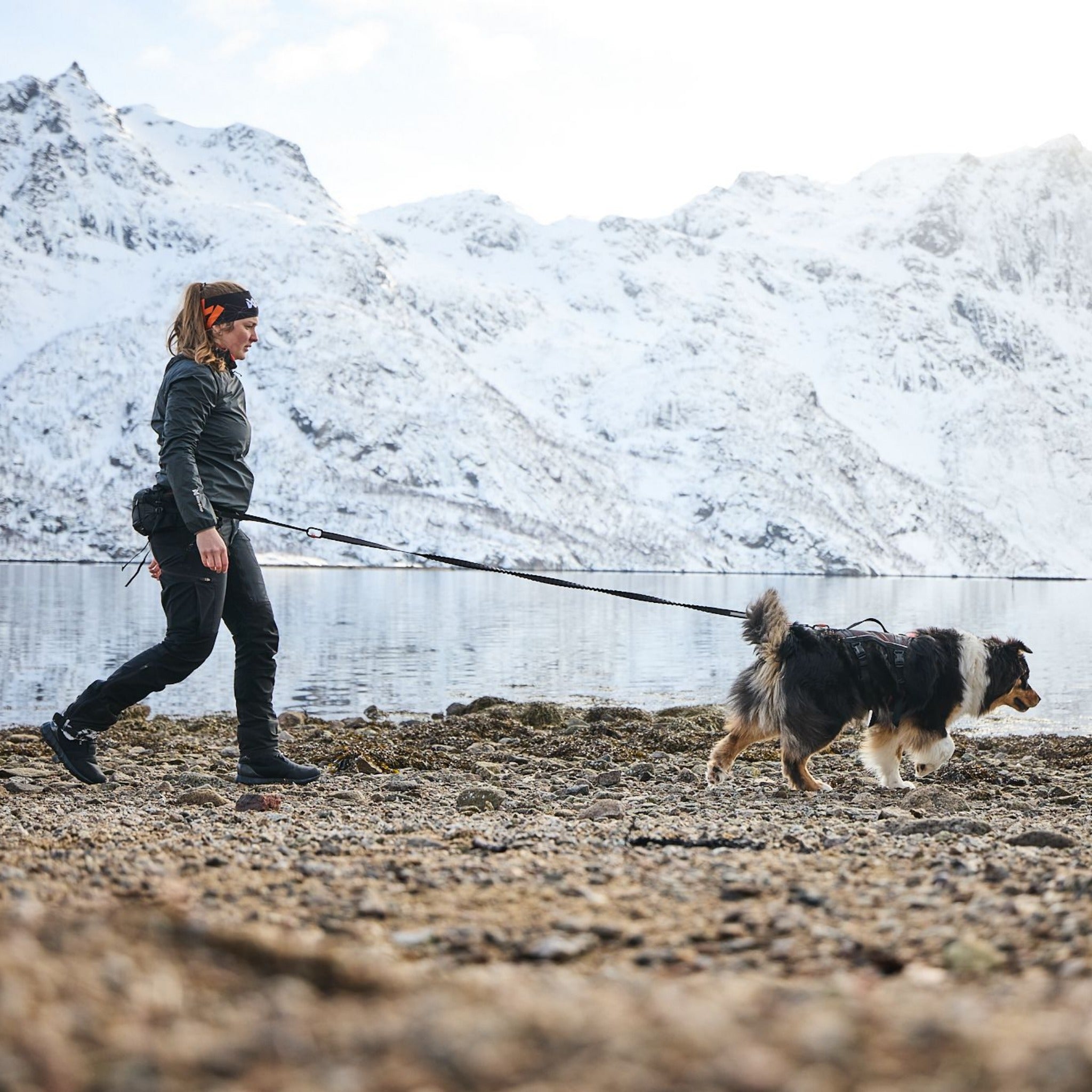 Non-stop dogwear Rock Harness Long, pettorina per cani