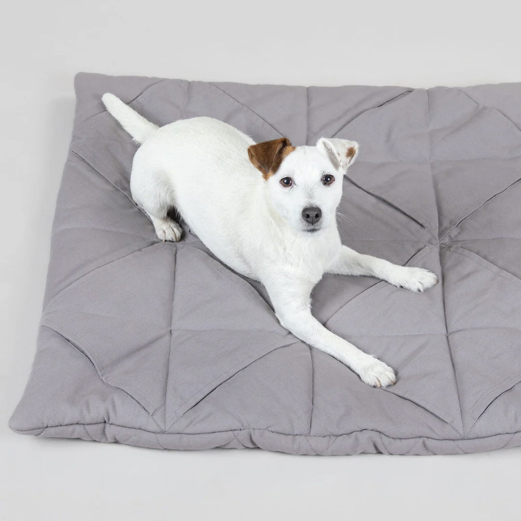 Paikka Playmat, Schnüffelmatte