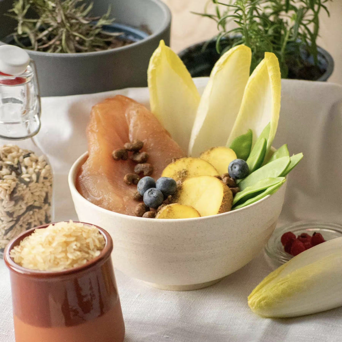 Perro Cat Premium Urinary - Katzen Trockenfutter - Woofshack