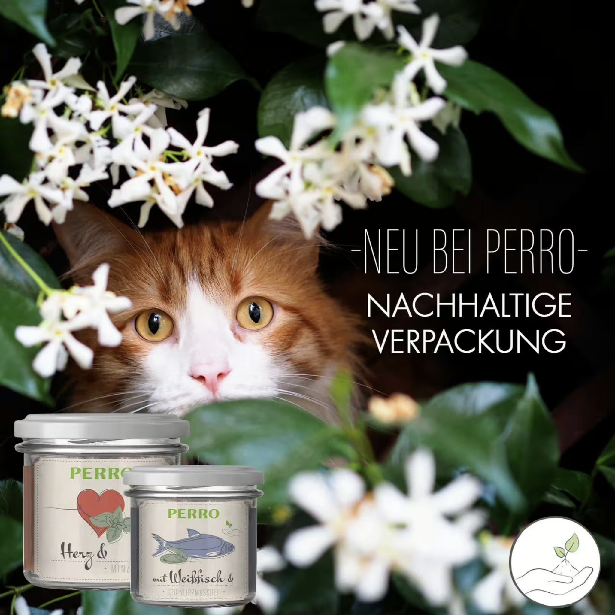 Perro Genießer Glas Herz &amp; Minze - Katzen Nassfutter - Woofshack